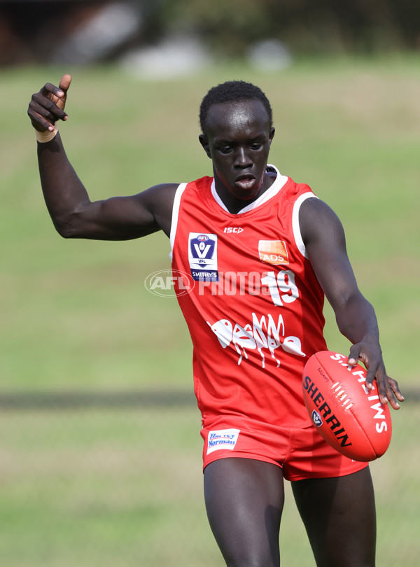 VFL 2024 Round 03 - Northern Bullants v Geelong - A-47226486