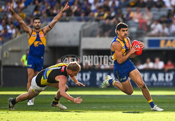 AFL 2024 Round 05 - West Coast v Richmond - A-47226503