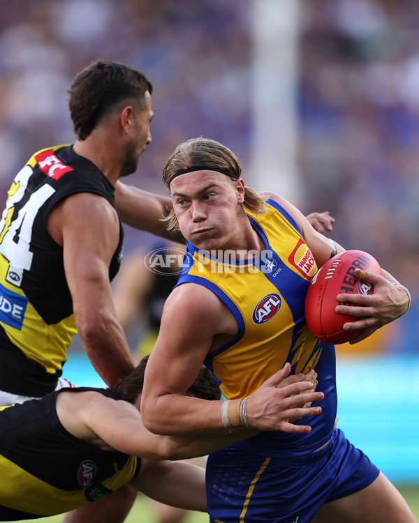 AFL 2024 Round 05 - West Coast v Richmond - A-47226528