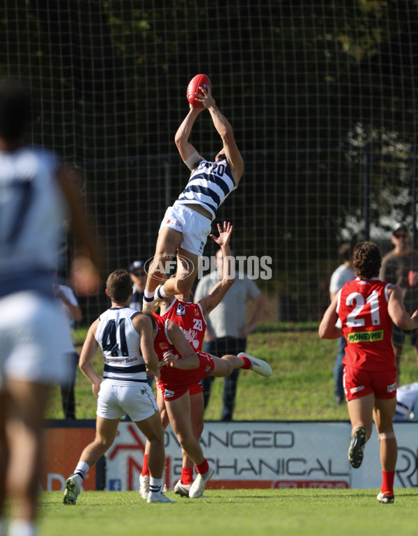 VFL 2024 Round 03 - Northern Bullants v Geelong - A-47226546