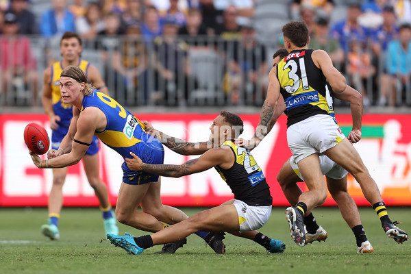 AFL 2024 Round 05 - West Coast v Richmond - A-47226584