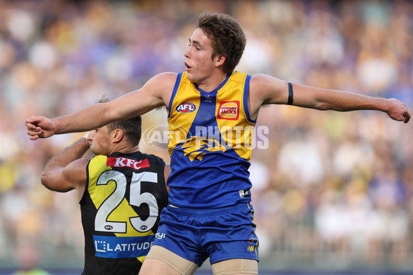 AFL 2024 Round 05 - West Coast v Richmond - A-47229325