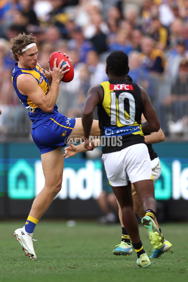 AFL 2024 Round 05 - West Coast v Richmond - A-47229327