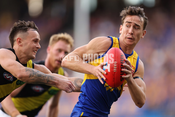 AFL 2024 Round 05 - West Coast v Richmond - A-47229339