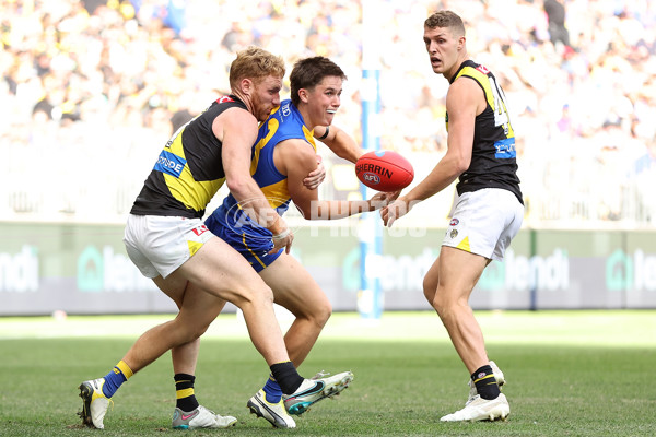 AFL 2024 Round 05 - West Coast v Richmond - A-47230733