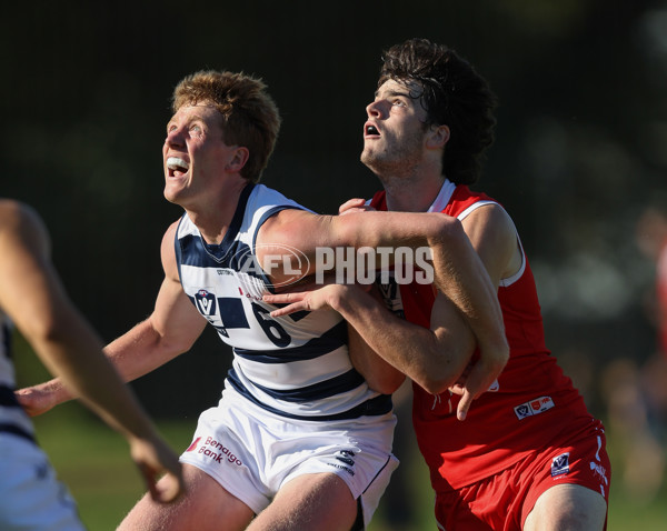 VFL 2024 Round 03 - Northern Bullants v Geelong - A-47230769