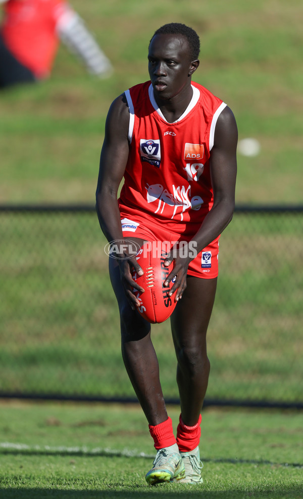 VFL 2024 Round 03 - Northern Bullants v Geelong - A-47230779