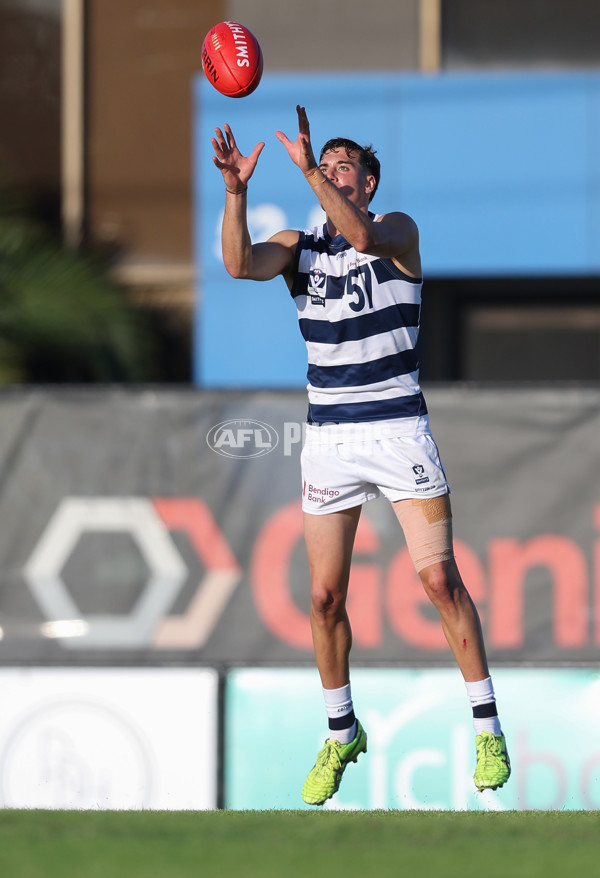 VFL 2024 Round 03 - Northern Bullants v Geelong - A-47230825