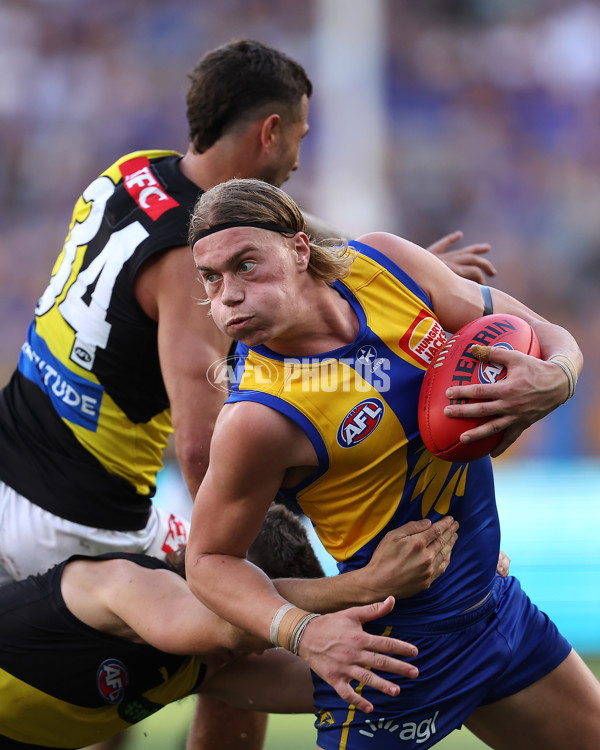 AFL 2024 Round 05 - West Coast v Richmond - A-47232154