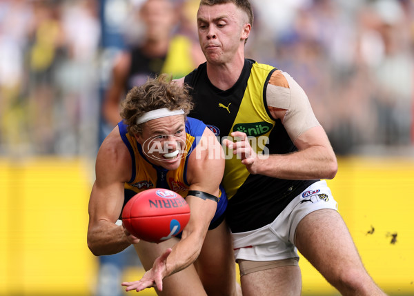 AFL 2024 Round 05 - West Coast v Richmond - A-47232157