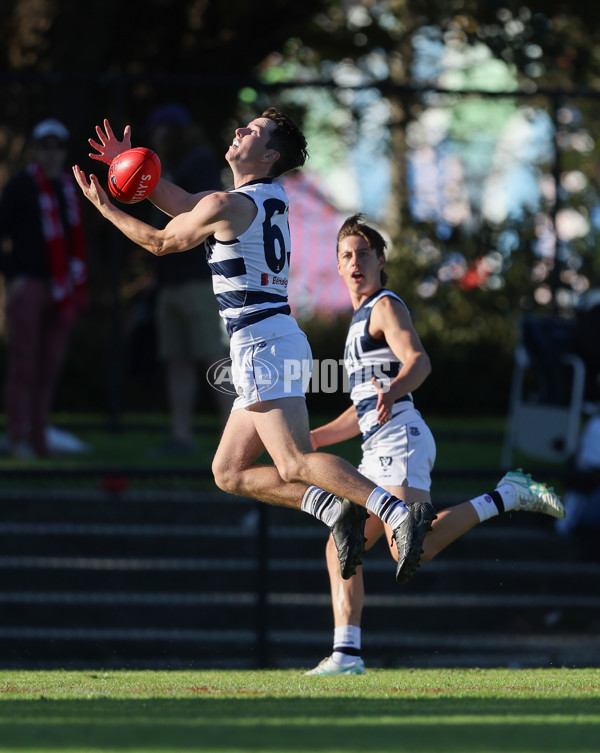 VFL 2024 Round 03 - Northern Bullants v Geelong - A-47232174