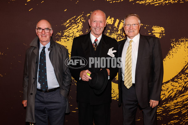 AFL 2024 Media - Hawthorn Hall of Fame - A-47287531