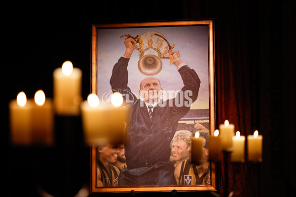 AFL 2024 Media - Hawthorn Hall of Fame - A-47287591
