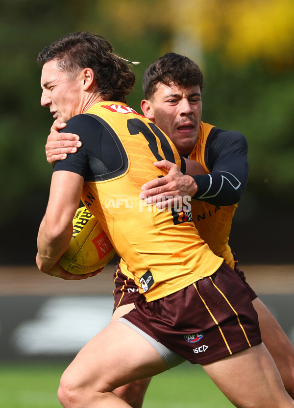 AFL 2024 Training - Hawthorn 190424 - A-47336929