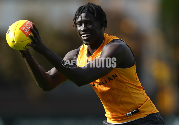 AFL 2024 Training - Hawthorn 190424 - A-47336931