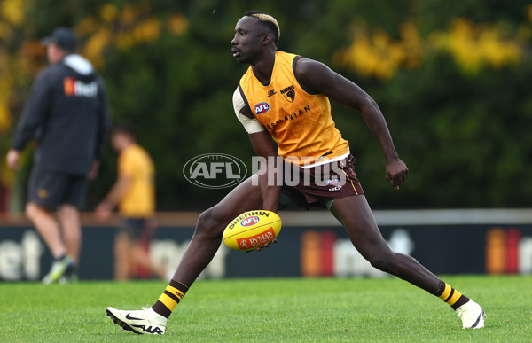 AFL 2024 Training - Hawthorn 190424 - A-47336932