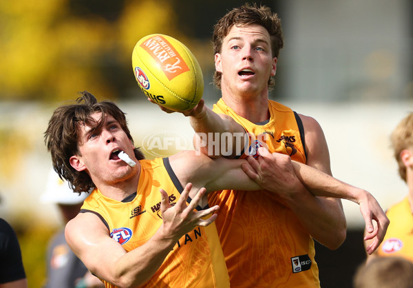 AFL 2024 Training - Hawthorn 190424 - A-47336933