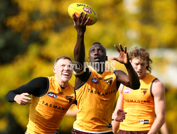 AFL 2024 Training - Hawthorn 190424 - A-47336935