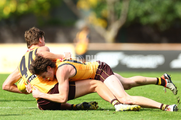 AFL 2024 Training - Hawthorn 190424 - A-47336940