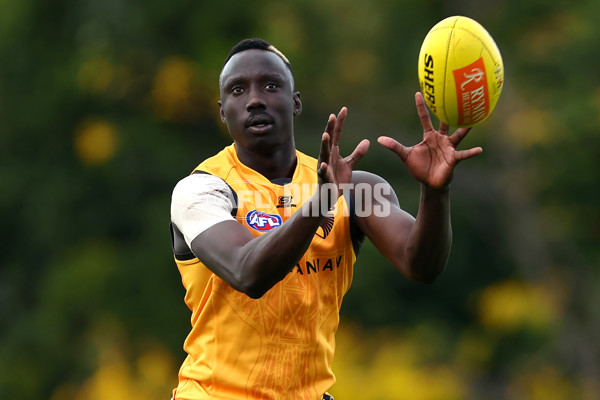 AFL 2024 Training - Hawthorn 190424 - A-47336957