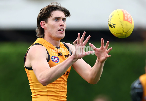 AFL 2024 Training - Hawthorn 190424 - A-47336960