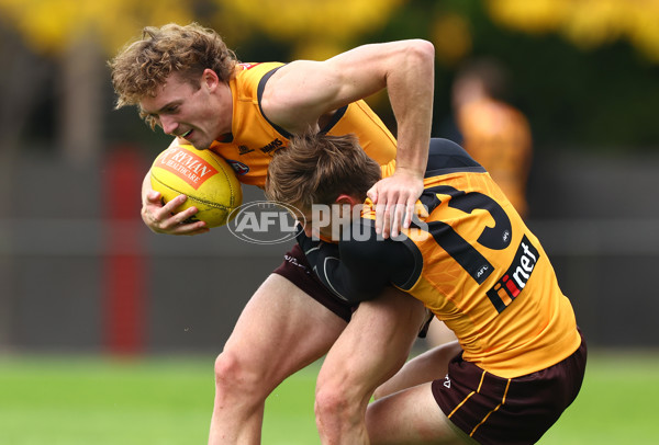 AFL 2024 Training - Hawthorn 190424 - A-47336963