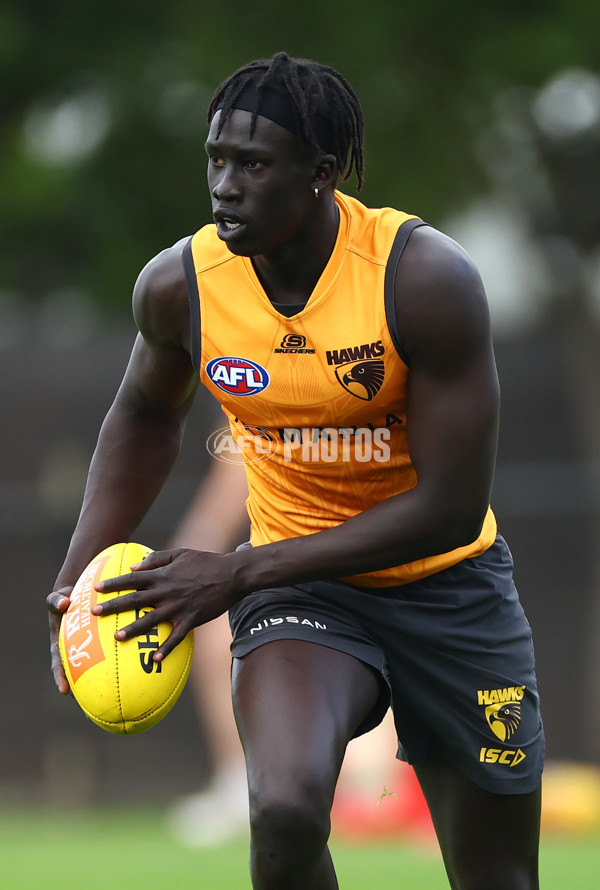 AFL 2024 Training - Hawthorn 190424 - A-47336967