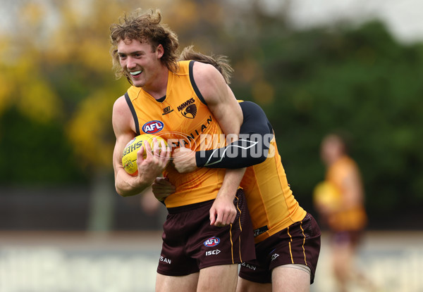 AFL 2024 Training - Hawthorn 190424 - A-47336968