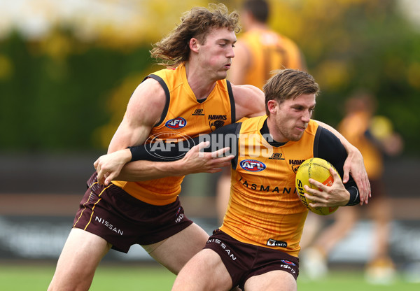 AFL 2024 Training - Hawthorn 190424 - A-47339435