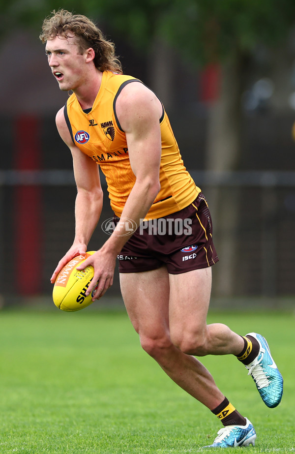 AFL 2024 Training - Hawthorn 190424 - A-47339436