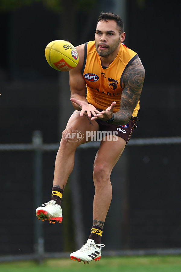 AFL 2024 Training - Hawthorn 190424 - A-47339437