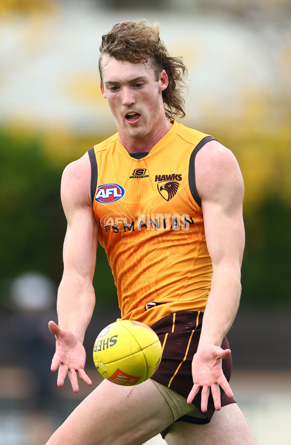 AFL 2024 Training - Hawthorn 190424 - A-47339439