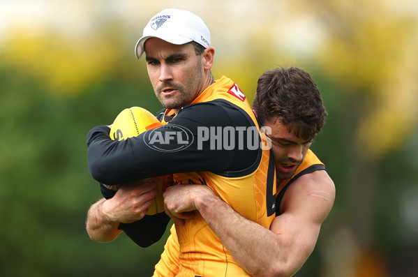 AFL 2024 Training - Hawthorn 190424 - A-47339440