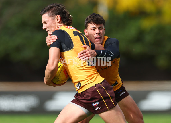 AFL 2024 Training - Hawthorn 190424 - A-47339444