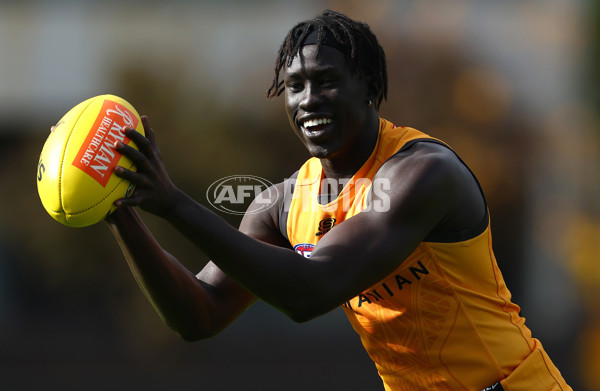 AFL 2024 Training - Hawthorn 190424 - A-47339447