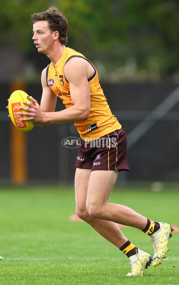 AFL 2024 Training - Hawthorn 190424 - A-47339450