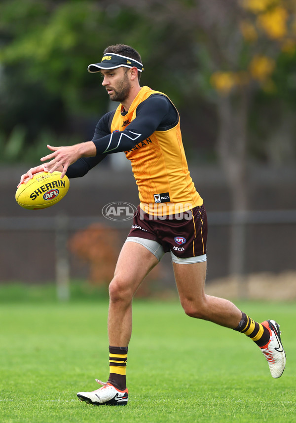 AFL 2024 Training - Hawthorn 190424 - A-47339466