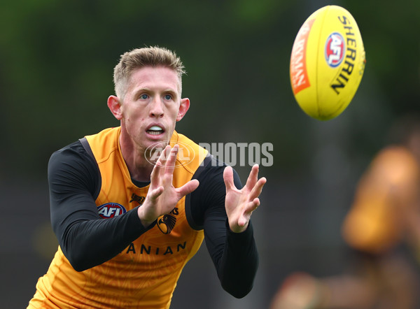 AFL 2024 Training - Hawthorn 190424 - A-47339468