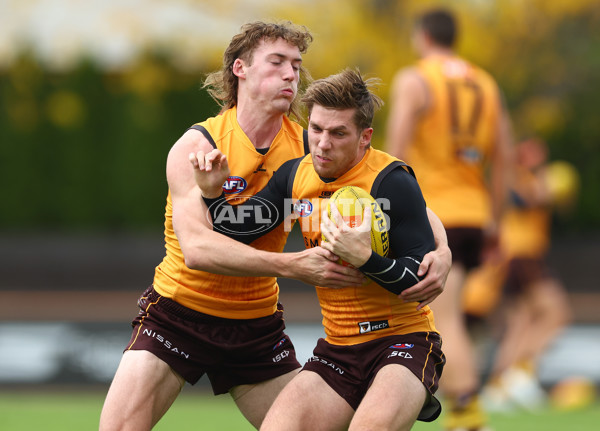 AFL 2024 Training - Hawthorn 190424 - A-47339469