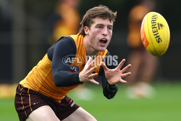 AFL 2024 Training - Hawthorn 190424 - A-47339471