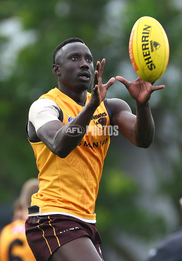 AFL 2024 Training - Hawthorn 190424 - A-47339473