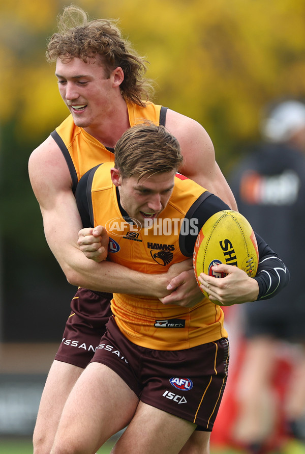 AFL 2024 Training - Hawthorn 190424 - A-47339475