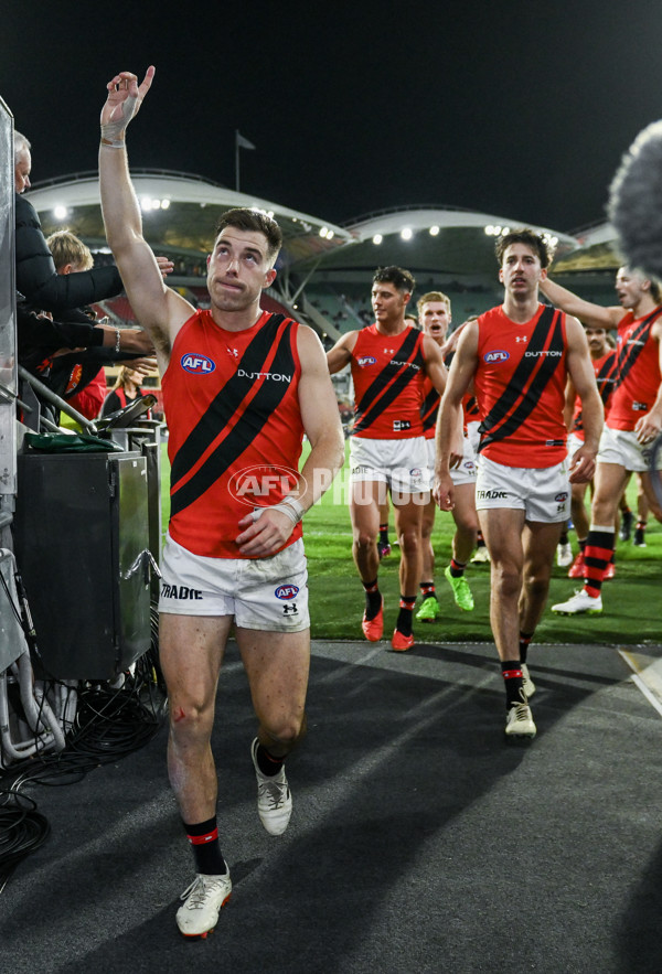 AFL 2024 Round 06 - Adelaide v Essendon - A-47347307