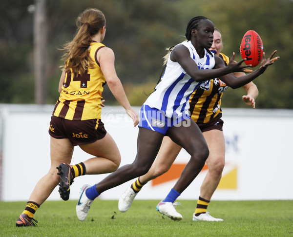 VFLW 2024 Round 05 - Box Hill v North Melbourne - A-47352098