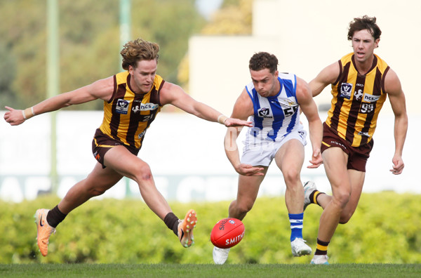 VFL 2024 Round 04 - Box Hill v North Melbourne - A-47353194