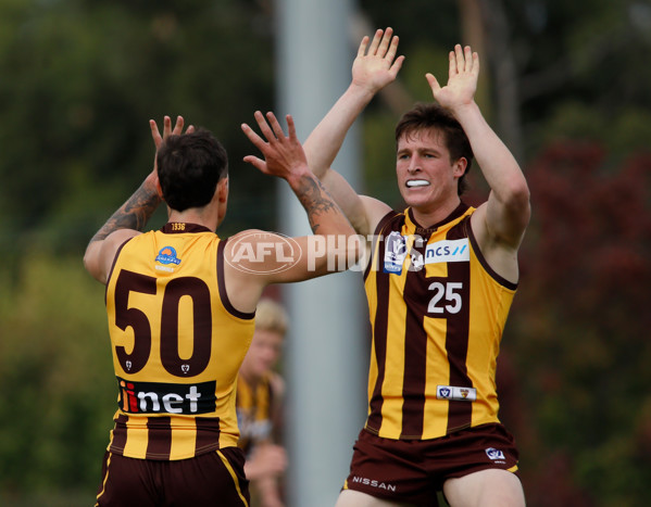 VFL 2024 Round 04 - Box Hill v North Melbourne - A-47356052