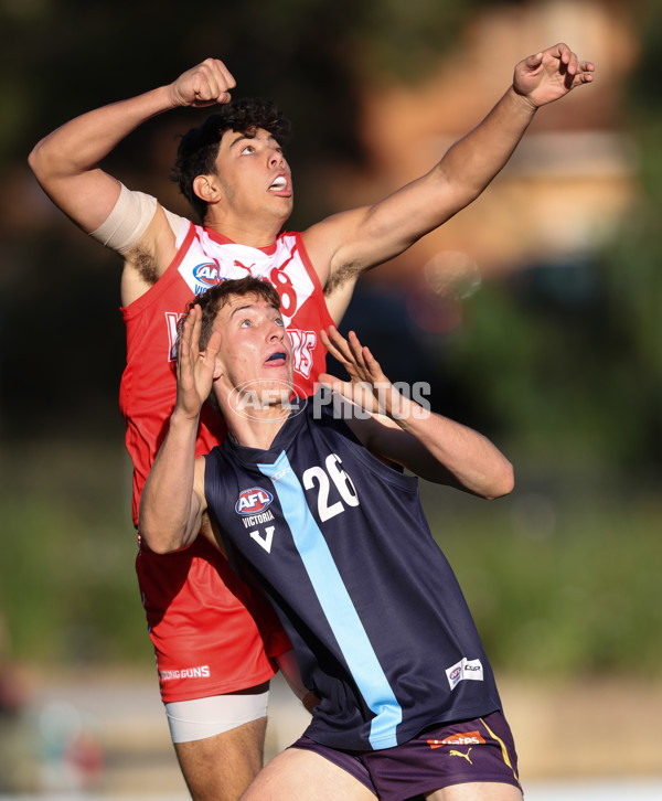 Young Guns Series 2024 - Young Guns v Victoria Metro U18 Boys - A-47379309