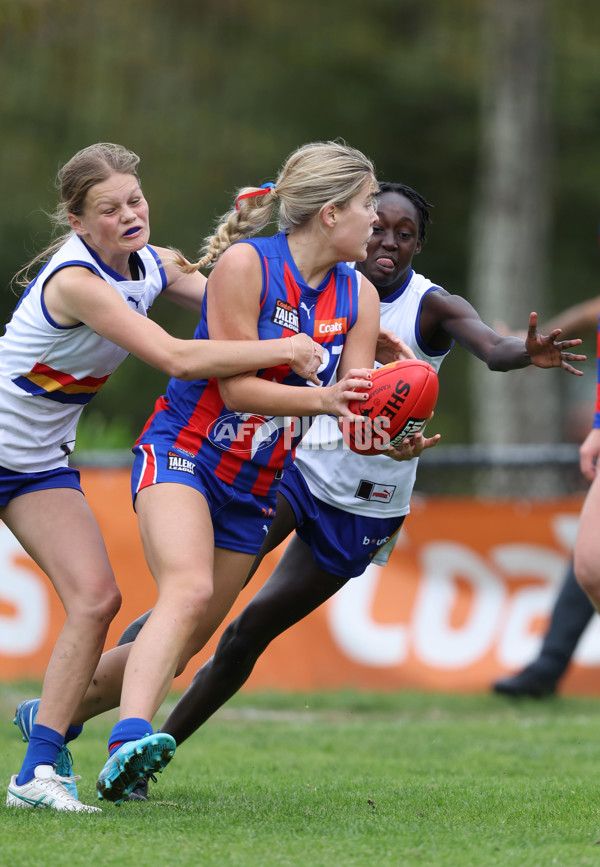 Coates Talent League Girls 2024 - Oakleigh v Eastern Ranges - A-47407914