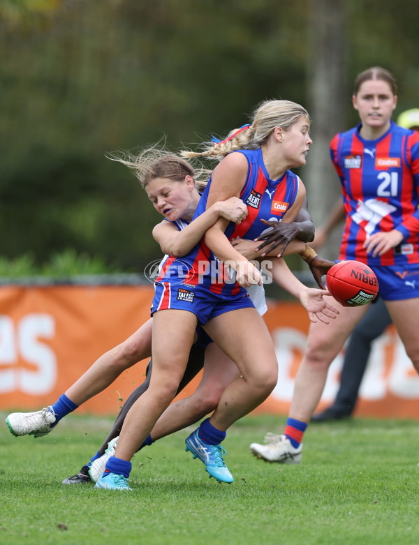 Coates Talent League Girls 2024 - Oakleigh v Eastern Ranges - A-47408215