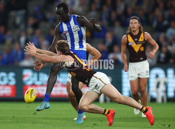 AFL 2024 Round 06 - North Melbourne v Hawthorn - A-47410755